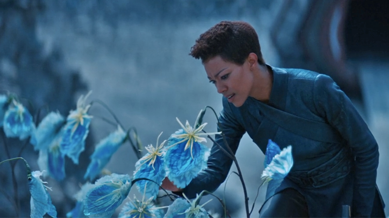 Wake up and smell the space flowers, Michael.